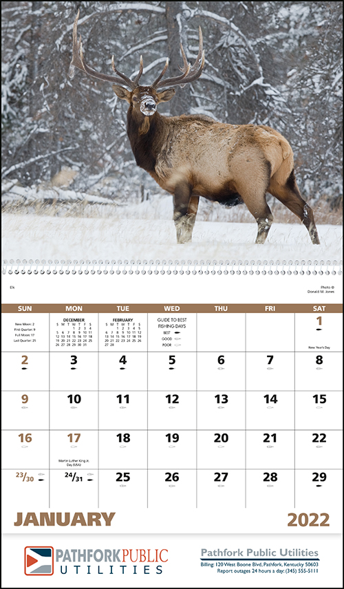 Wildlife Portraits Spiral Bound Wall Calendar for 2022